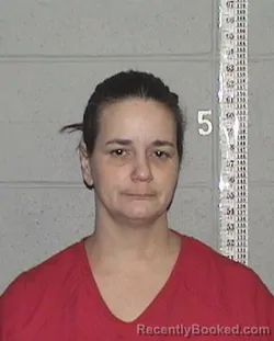 Mugshot of JESSICA RENEE BIGGINS booked in Flathead County, Montana on March 19, 2026