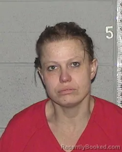Mugshot of JULIE LYNN THIEL booked in Flathead County, Montana on May 13, 2026