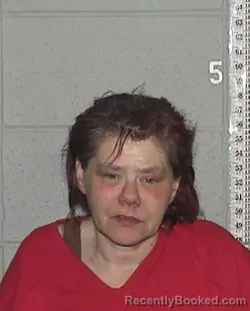 Mugshot of KASSIE LYNN FINCHER