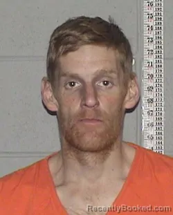 Mugshot of KEVIN DANIEL WILD