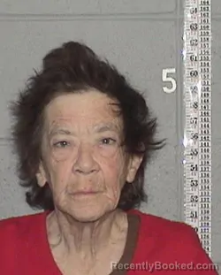 Mugshot of MELANIE LEA AREND