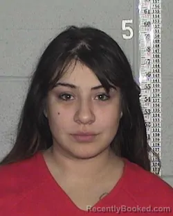Mugshot of MADISON BREANNE MARTINEZ booked in Flathead County, Montana on June 28, 2026
