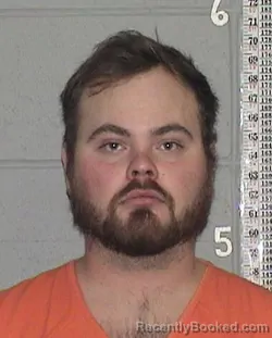 Mugshot of MASON SCOTT MCINNES