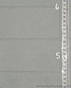 Mugshot of ROXIE JOY LAROCQUE booked in Flathead County, Montana on March 21, 2026