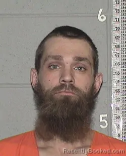 Mugshot of TYLER KAYNE LEEDS booked in Flathead County, Montana on March 21, 2026