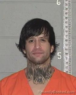 Mugshot of TYSON ANDREW NELSON
