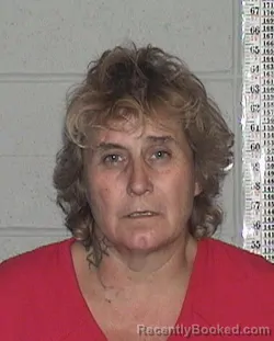 Mugshot of TAWNA SUE PARKER booked in Flathead County, Montana on July 3, 2026