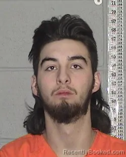 Mugshot of TRYSTAN DAVID TOAVS booked in Flathead County, Montana on March 22, 2026