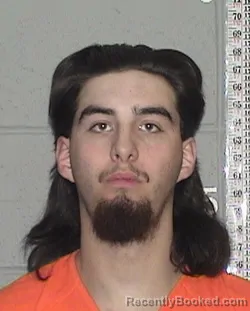 Mugshot of TRYSTAN DAVID TOAVS booked in Flathead County, Montana on July 2, 2026