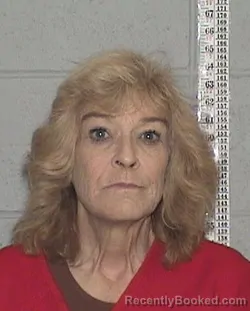 Mugshot of TYLA JOANN WILSON