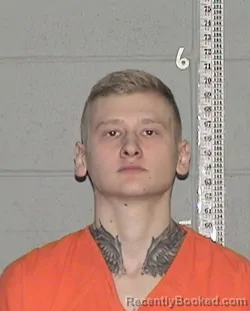 Mugshot of YURII HETMANENKO booked in Flathead County, Montana on March 22, 2026