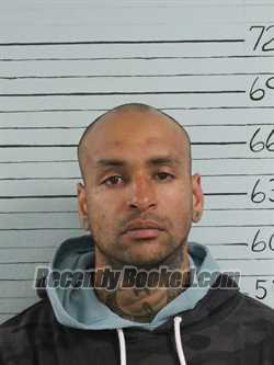 Mugshot of GIORGIO JOSEPH ROMANELLO booked in Ravalli County, Montana on June 18, 2026