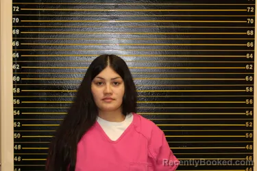 Booking photo from Toole County, Montana