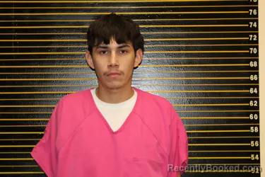 Mugshot of AARON Carl LAMERE