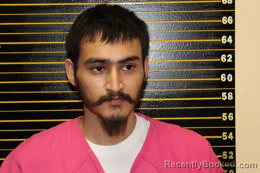 Mugshot of DAMION LAMAR DIAZ