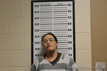 Mugshot of KRISTA LYNN BAUER