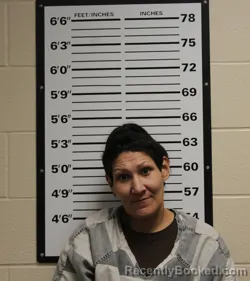 Mugshot of MISTY ROSE SUGG