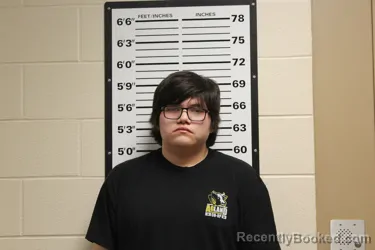 Mugshot of RAYCE MURRAY HAMILTON