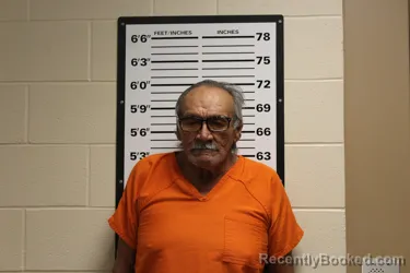 Mugshot of IVAN JAMES WING