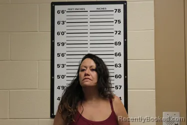 Mugshot of NICOLE LYNN BROWN
