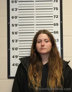 Mugshot of MORGAN NICOLE MINDT booked in Valley County, Montana on April 7, 2026