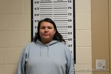 Mugshot of CHARNEZ LAYNE DENNY booked in Valley County, Montana on April 19, 2026