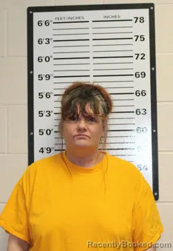 Mugshot of MONICA MARIE MYERS booked in Valley County, Montana on July 1, 2026