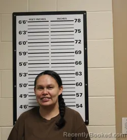 Mugshot of NIKKI RAE YOUNGBEAR booked in Valley County, Montana on July 10, 2026