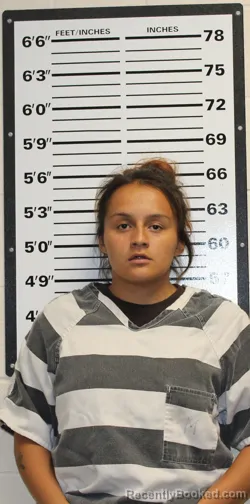 Mugshot of SHAYLYNN ROSE HEALY booked in Valley County, Montana on July 27, 2026