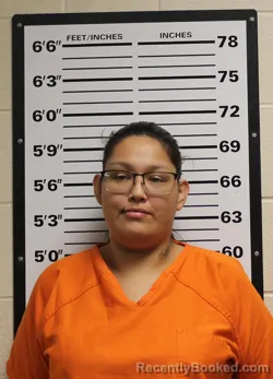 Mugshot of Cheyenne Rivers Suddenbrave booked in Valley County, Montana on September 4, 2026