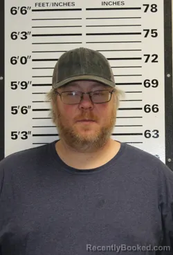 Mugshot of LEVI GENE MCLAURIN