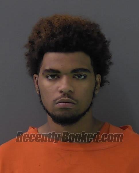 Booking photo from Bell County, Texas