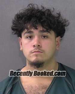 Booking photo from Bell County, Texas