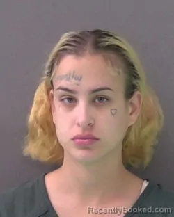 Mugshot of ELIZABETH ANN SCHRAUDT