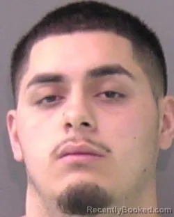 Mugshot of NICOLAS FRANK CAMACHO