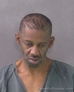 Mugshot of VIDELL LEEMERIL VIENEY