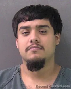 Mugshot of LLOBANI HERNANDEZ-ALVAREZ