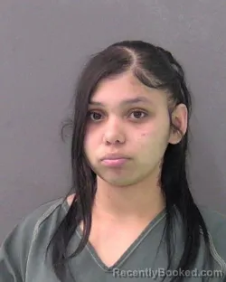 Booking photo from Bell County, Texas