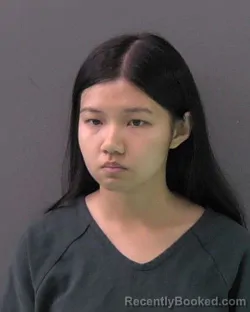 Mugshot of BAO NGUYEN