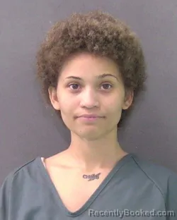 Mugshot of SASHA RENEE WILSON