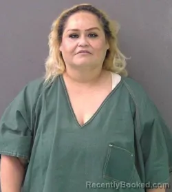 Mugshot of TERI GUAJARDO