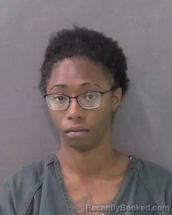 Mugshot of BRITTANIE MICHELLE JAMERSON
