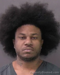 Booking photo from Bell County, Texas