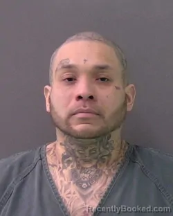 Mugshot of ERIC FERNANDEZ