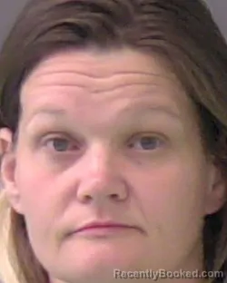 Mugshot of SHANNON RENEE SMITH