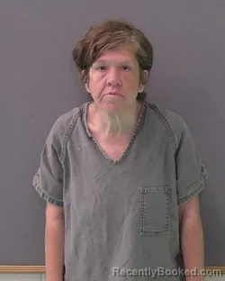 Mugshot of HEATHER LEANN BLISS