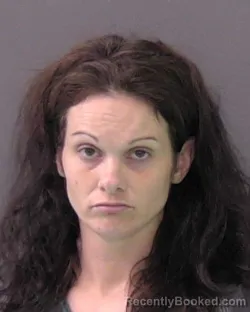 Mugshot of CRYSTAL DAWN HOLMES