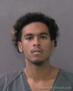 Mugshot of RAYDEN LEE VALDEZ