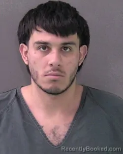 Mugshot of ALFREDO ALONZO ALVARADO