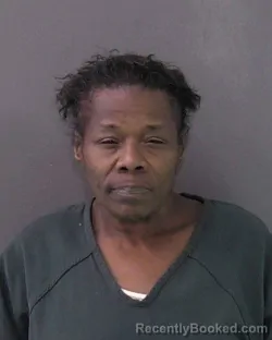 Mugshot of TRACEY LOU FOX